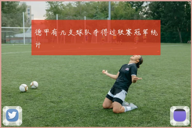 德甲有几支球队夺得过联赛冠军统计